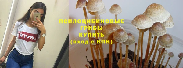 круглые Новодвинск