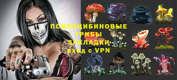 трава Новокубанск