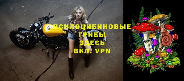 дурь Новозыбков