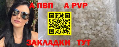 сатива Кингисепп