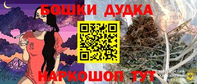 сатива Кингисепп