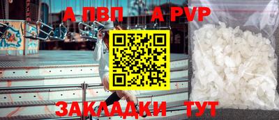 сатива Кингисепп