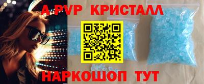 сатива Кингисепп
