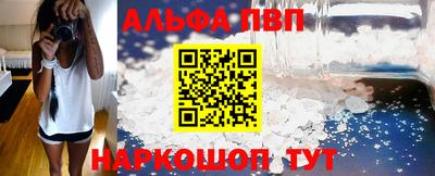 сатива Кингисепп