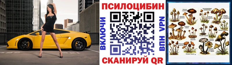 наркотики  блэк спрут сайт  Галлюциногенные грибы мухоморы  Осинники 